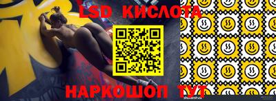 ГАЛЛЮЦИНОГЕННЫЕ ГРИБЫ Сланцы